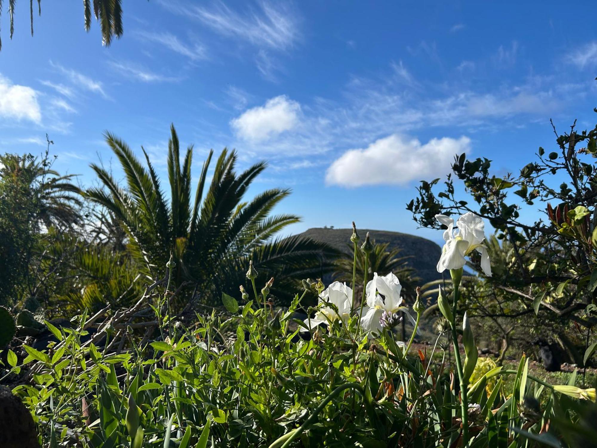 Casa Buenavida Villa Alajeró Eksteriør billede